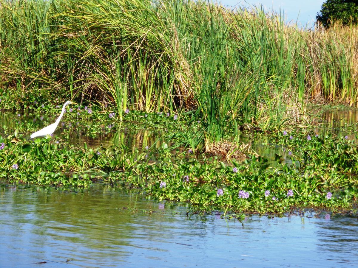 Marbella Eco Lodge Monterrico Exteriér fotografie