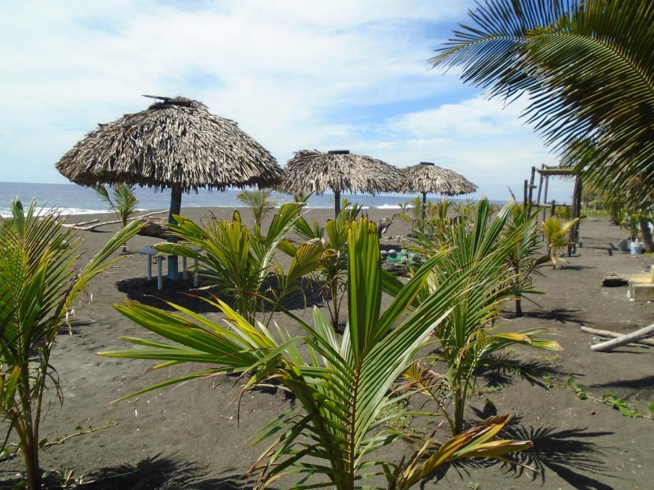 Marbella Eco Lodge Monterrico Exteriér fotografie